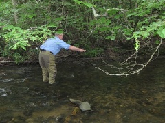 Doe River 28Jun09  31 